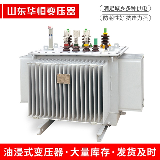 S13-10000/35漳平漳平漳平电力变压器